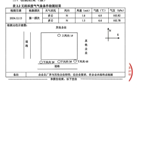 检测报告（2024.12.31）